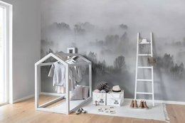 Fototapeta Poranna mgła