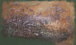 Fototapeta artystyczna Erbel łąka kwiaty trawy