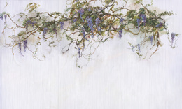 Fototapeta artystyczna Pastorale zwisające kwiaty wisteria