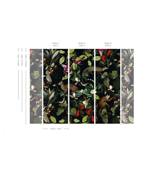Tapeta Artystyczna The Jungle Book Black