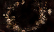 Fototapeta artystyczna Virtus Kwiaty