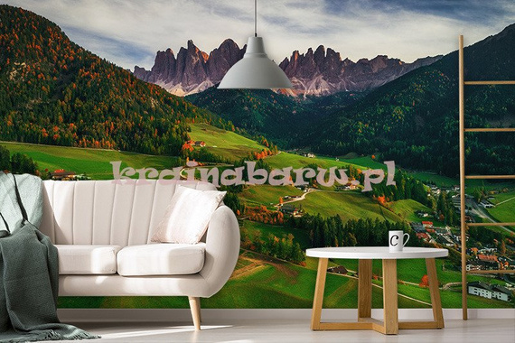 Fototapeta RE030015 GÓRSKA DOLINA