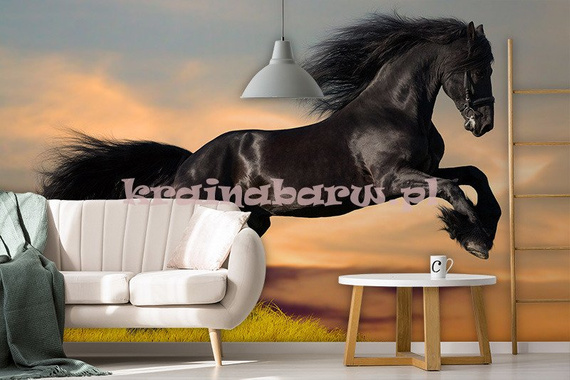 Fototapeta RE130006 CZARNY KOŃ