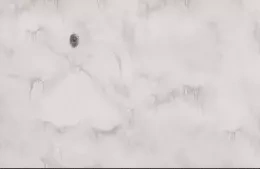 Fototapeta na flizelinie Tancerka Lady Light