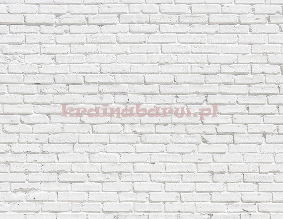 Fototapeta RE020013 CEGLANA ŚCIANA