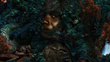 Fototapeta Ubuntu Forest