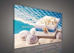 Obraz na płótnie PP812O1 Muszle