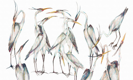 Fototapeta artystyczna Jawa kolorowe ptaki