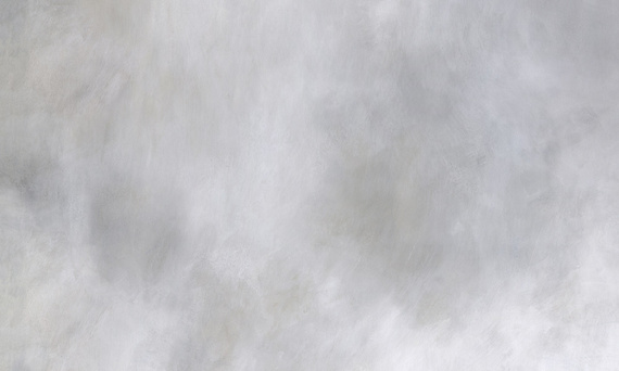 Fototapeta artystyczna Pianta trawy