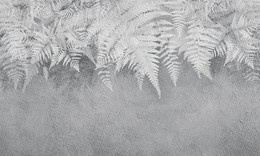 Fototapeta liscie na betonowym tle Lacerta