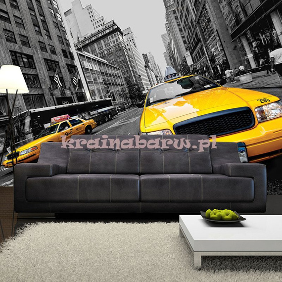 Fototapeta na flizelinie 2766VE New York