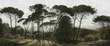 Tapeta Artystyczna Italian Pines