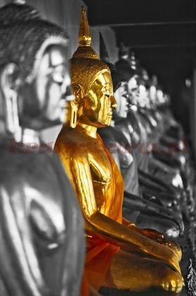 Fototapeta 904 ZŁOTY BUDDA (904)