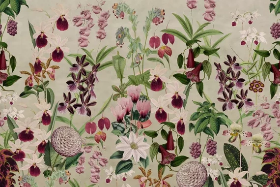 Fototapeta Alice's Garden 