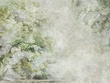 Fototapeta na flizelinie Sanctuary Green