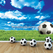 Fototapeta 3388 Stadion