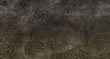 Fototapeta Ad Astra 