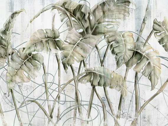 Fototapeta Wallcraft Monstera