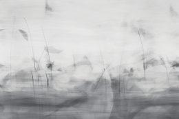 Tapeta Artystyczna Serenite Vent du matin SV100