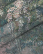 Fototapeta artystyczna Sophora zwisające kwiaty wisteria