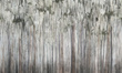 Nowoczesna fototapeta na flizelinie Mirage