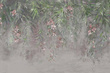 Fototapeta Honolulu, Green