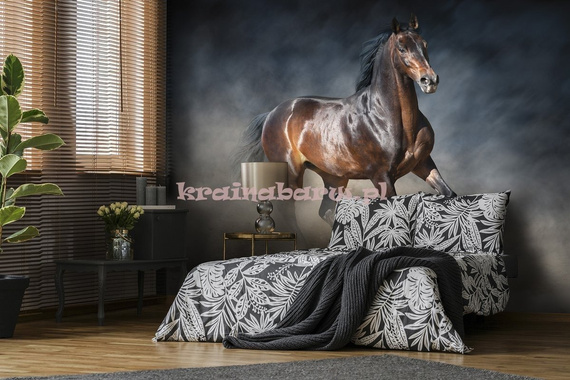 Fototapeta 13600 Brązowy Koń