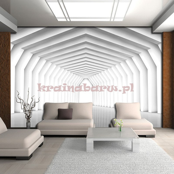 Fototapeta  2651 TUNEL 3D SZARY