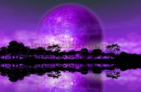 Fototapeta FS0712 Rising of The Moon (michelangelus)